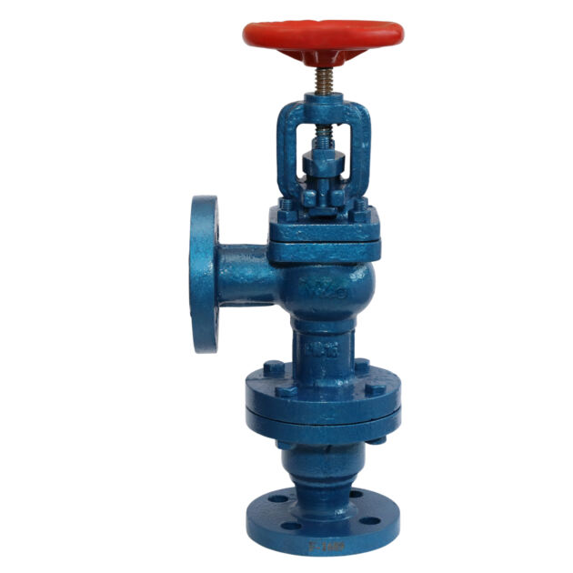Cast Iron Accessible Feed Check Valve Flanged IBR Certified