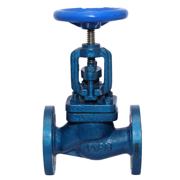Cast Iron Stop cum Non-Return Valve Flanged IBR Certified
