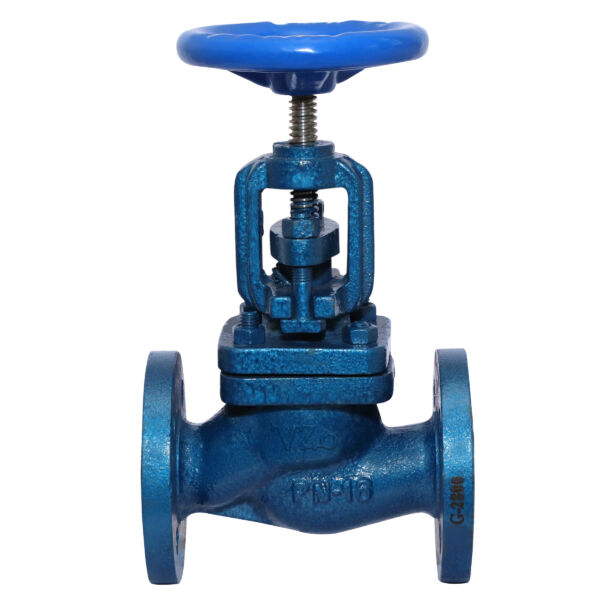 Cast Steel Globe Steam Stop Valve Flanged IBR Certified